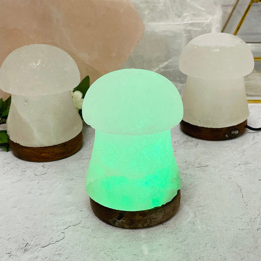 Himalayan Salt White Mushroom Lamp - Color Changing