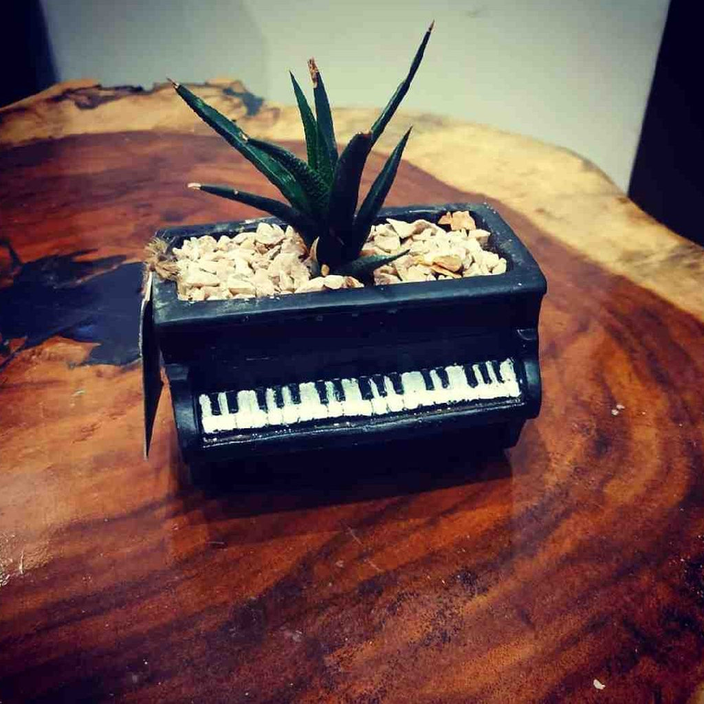 Piano Shaped Planter