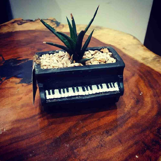 Piano Shaped Planter