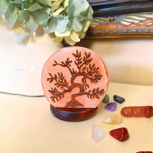 Himalayan Salt Lamp Small