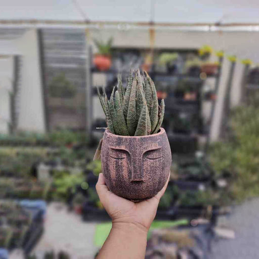 Vintage Meditation Planter