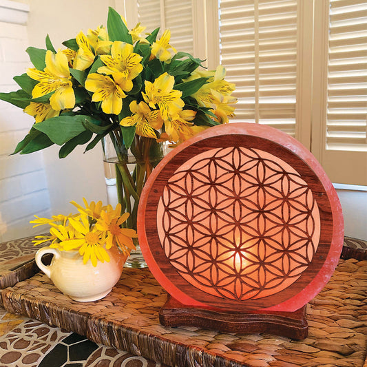 Himalayan Salt Lamp - Large