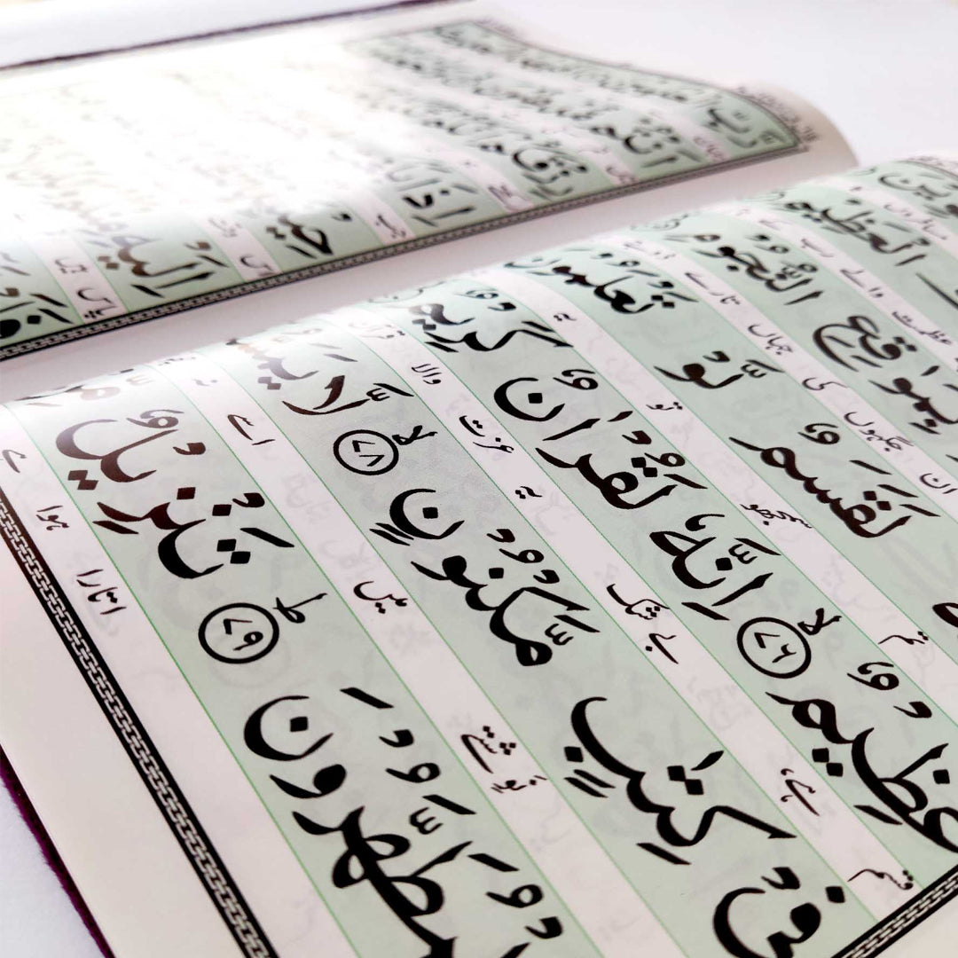 السور الخمس – أسود