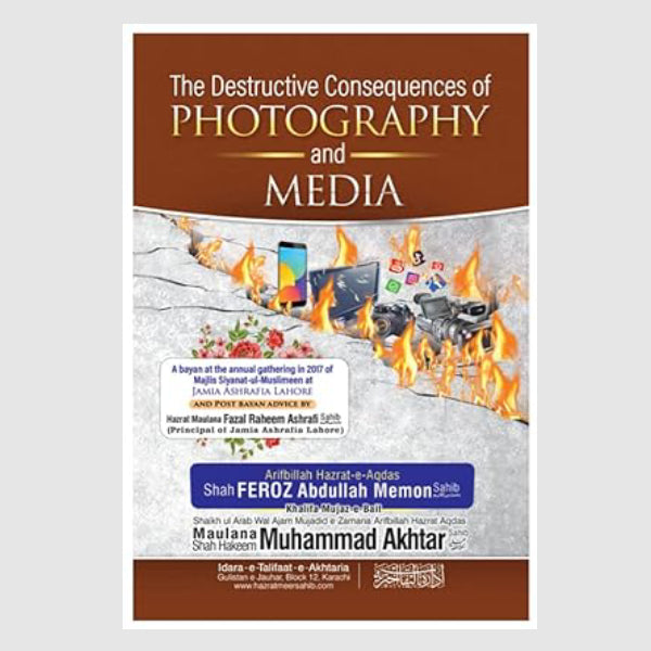 The Destructive Consequences of Photography and Media