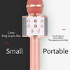 Wireless Microphone Hifi Speaker