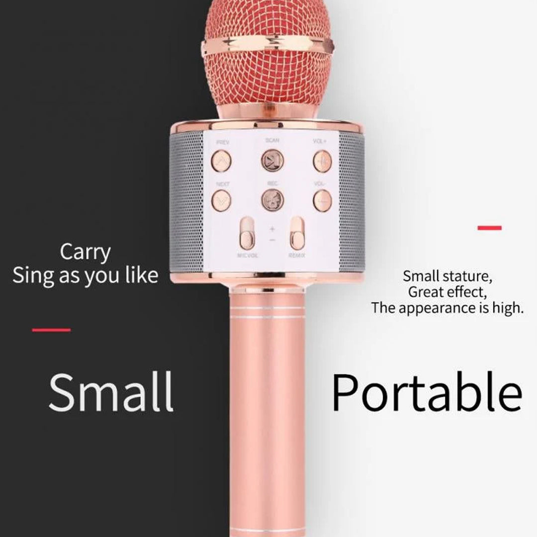 Wireless Microphone Hifi Speaker